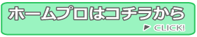 ホームプロ説明