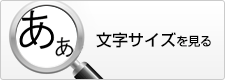 文字サイズを見る