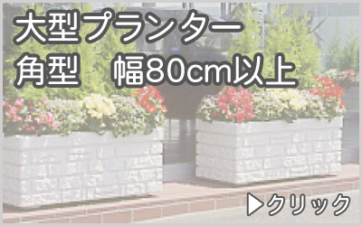 大型プランター角型　幅80cm以上